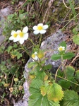 ２２IMG_1318.JPG　８がつ１３　　.JPG